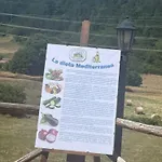 Gelsomino 4*
