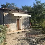 Gelsomino