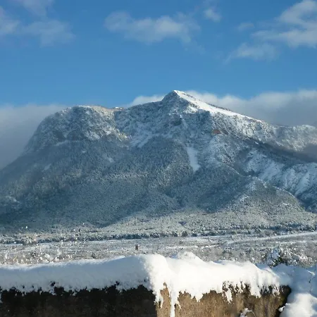 Gelsomino Morano Calabro
