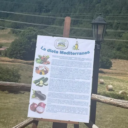 Gelsomino 4*