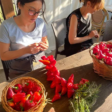 Gelsomino 4* Morano Calabro