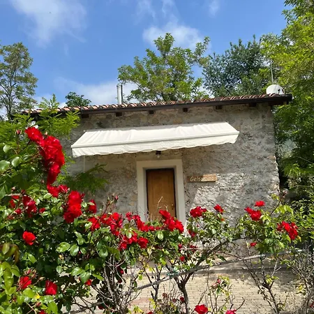Bed & Breakfast Gelsomino 4*