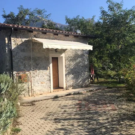 Gelsomino