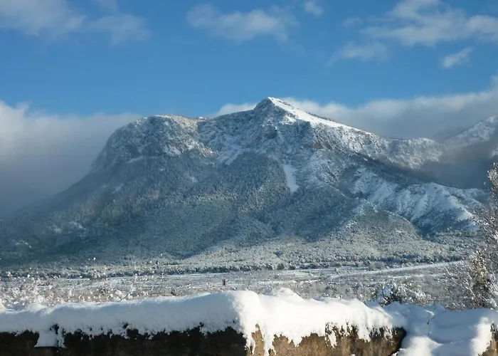 Gelsomino Morano Calabro