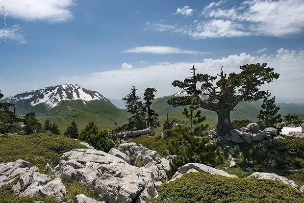 Bed & Breakfast Gelsomino