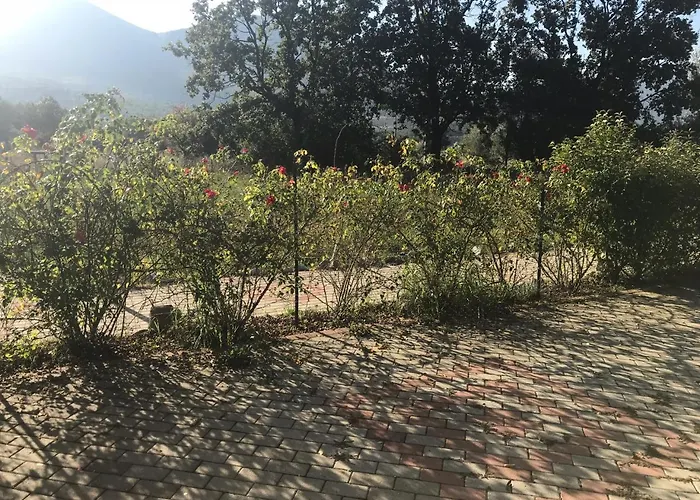 Gelsomino Bed & Breakfast Morano Calabro